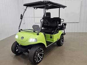 golf cart maintenance, fort myers golf cart service, battery service