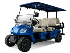 golf cart tours palm beach, palm beach tour, street legal
